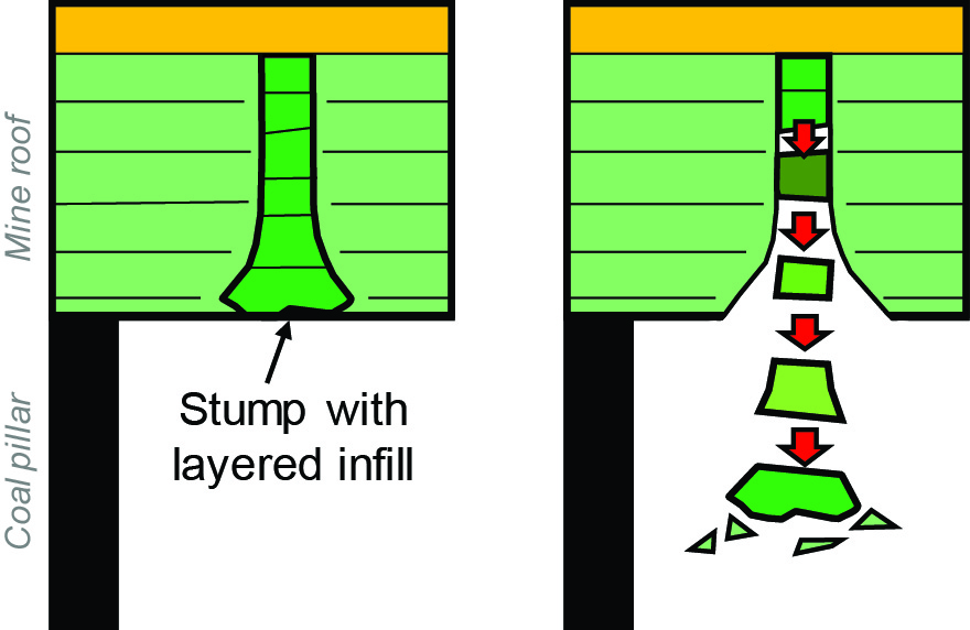 Fossil tree stumps may be layered in such a way that they can fall out in pieces through time.